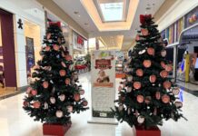 Natal Solidário segue até 14/12 no Polo Shopping e apoia instituições e animais resgatados