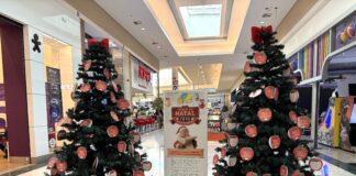 Natal Solidário segue até 14/12 no Polo Shopping e apoia instituições e animais resgatados